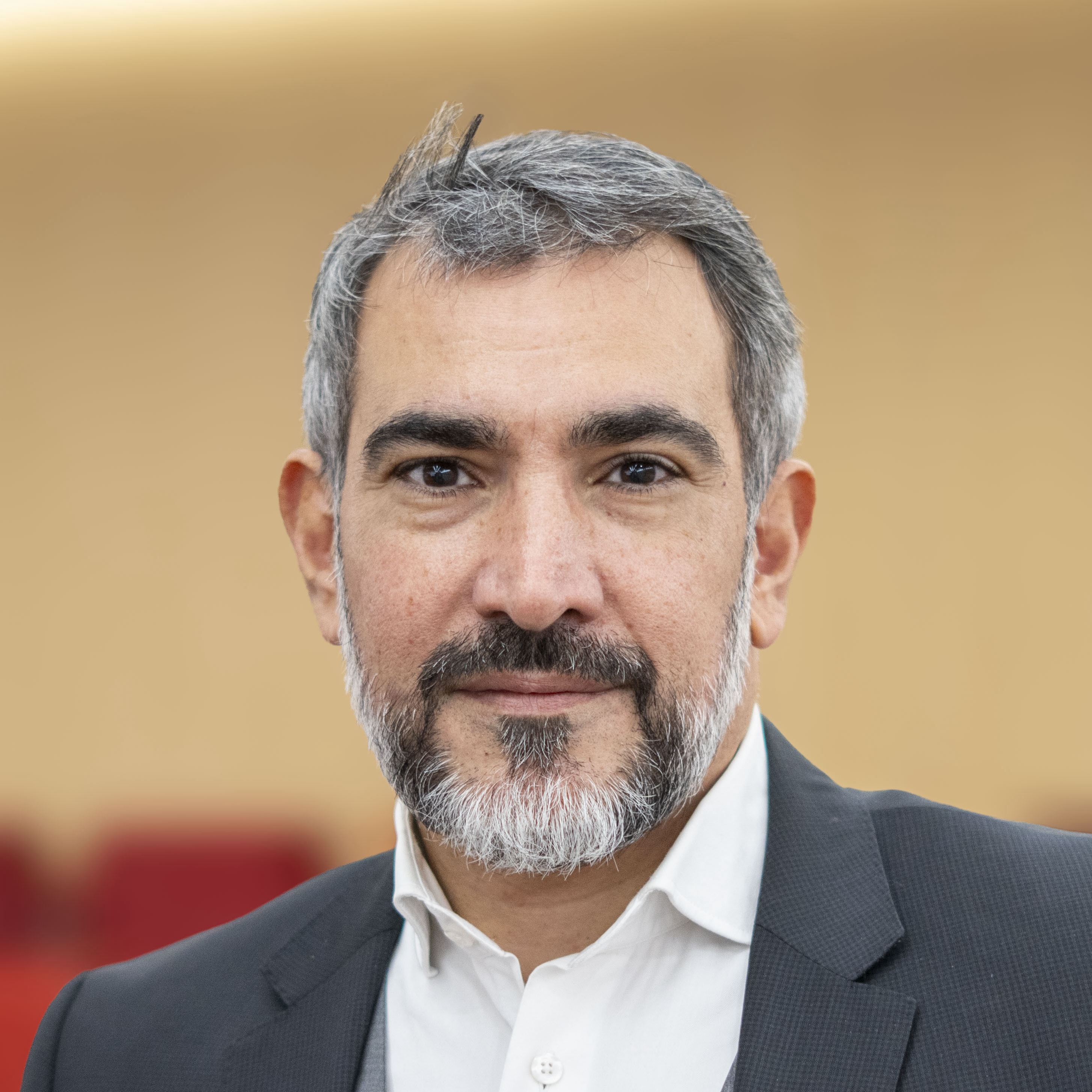 Michaël Nathan, Directeur du SIG