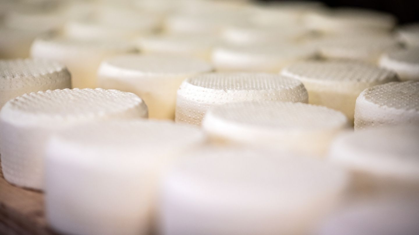 L'étale d'une fromagerie.