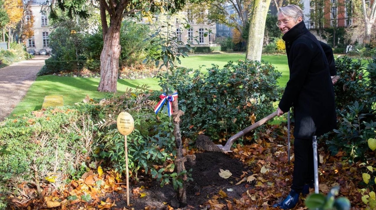 La Première ministre Élisabeth Borne plante un chêne vert dans le jardin de Matignon, le 28 novembre 2022.