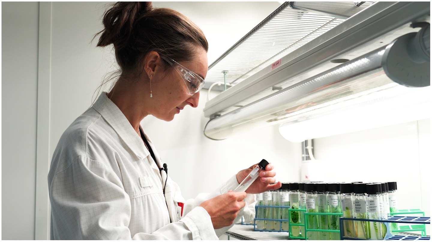 Le laboratoire de Fermentalg