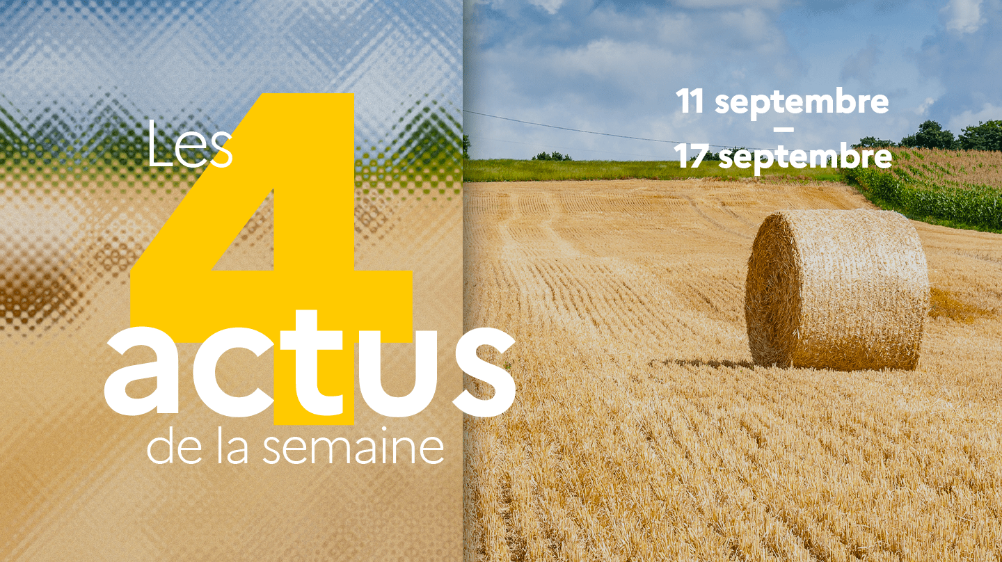 4 actus de la semaine du 11 - 17 septembre 2023