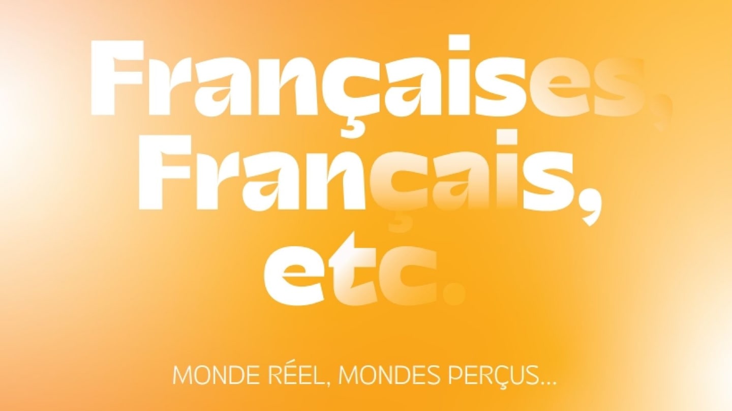 Françaises, Français, etc. Monde réel. Mondes perçus...
