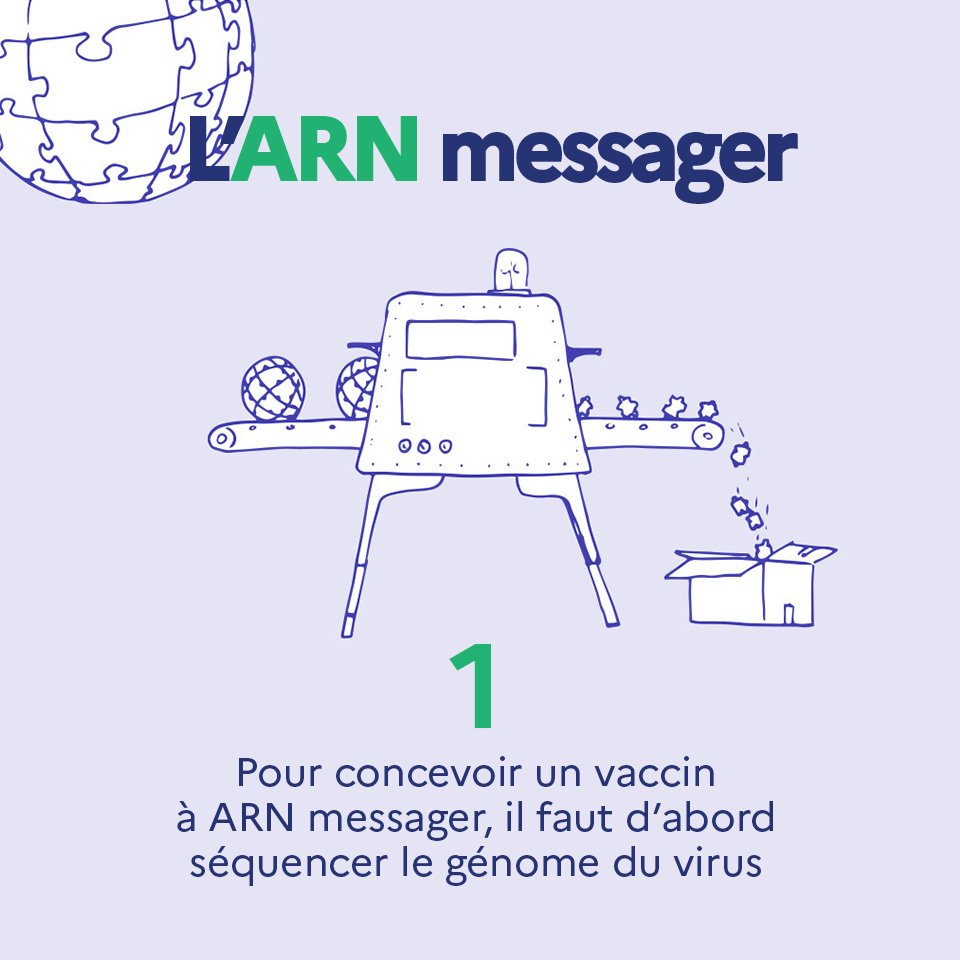 1. Pour concevoir un vaccin à ARN messager, il faut d'abord séquencer le génome du virus