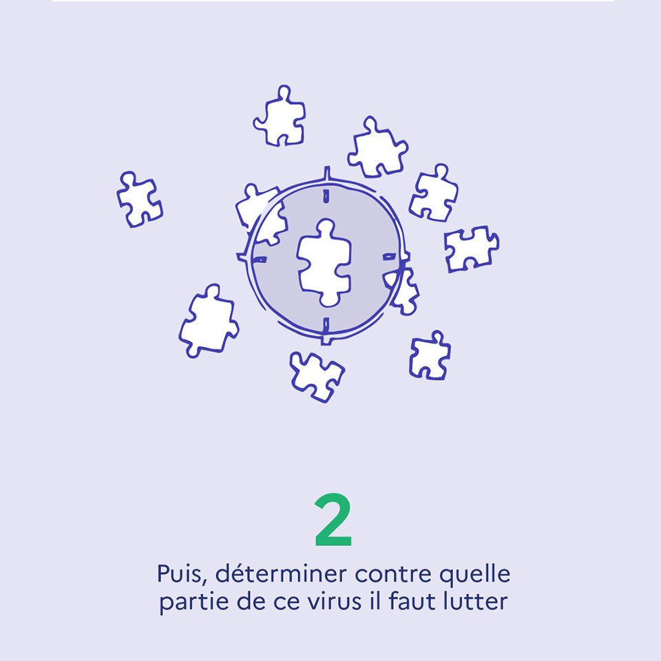2. Puis, déterminer contre quelle partie de ce virus il faut lutter