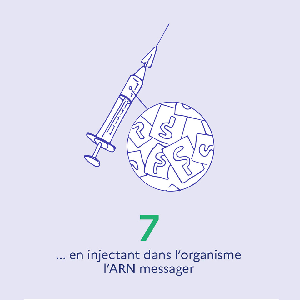 7. ... en injectant dans l'organisme l'ARN messager