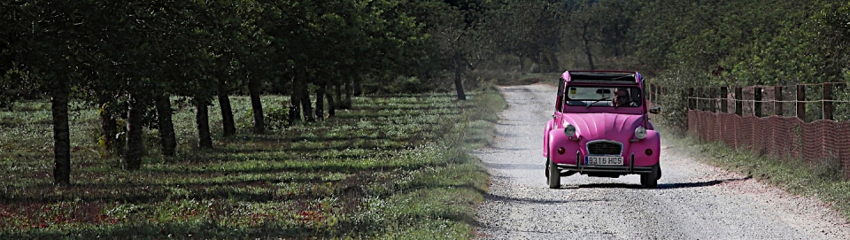 2 cv roulant sur une route de campagne