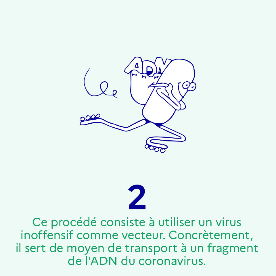 Ce procédé consiste à utiliser un virus inoffensif comme vecteur. Concrètement, il sert de moyen de transport à un fragment d'ADN du coronavirus"