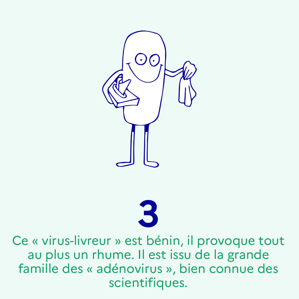 Ce « virus-livreur » est bénin, il provoque tout au plus un rhume. Il est issu de la grande famille des « adénovirus », bien connue des scientifiques"