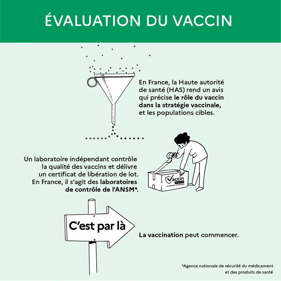 L'évaluation du vaccin 2