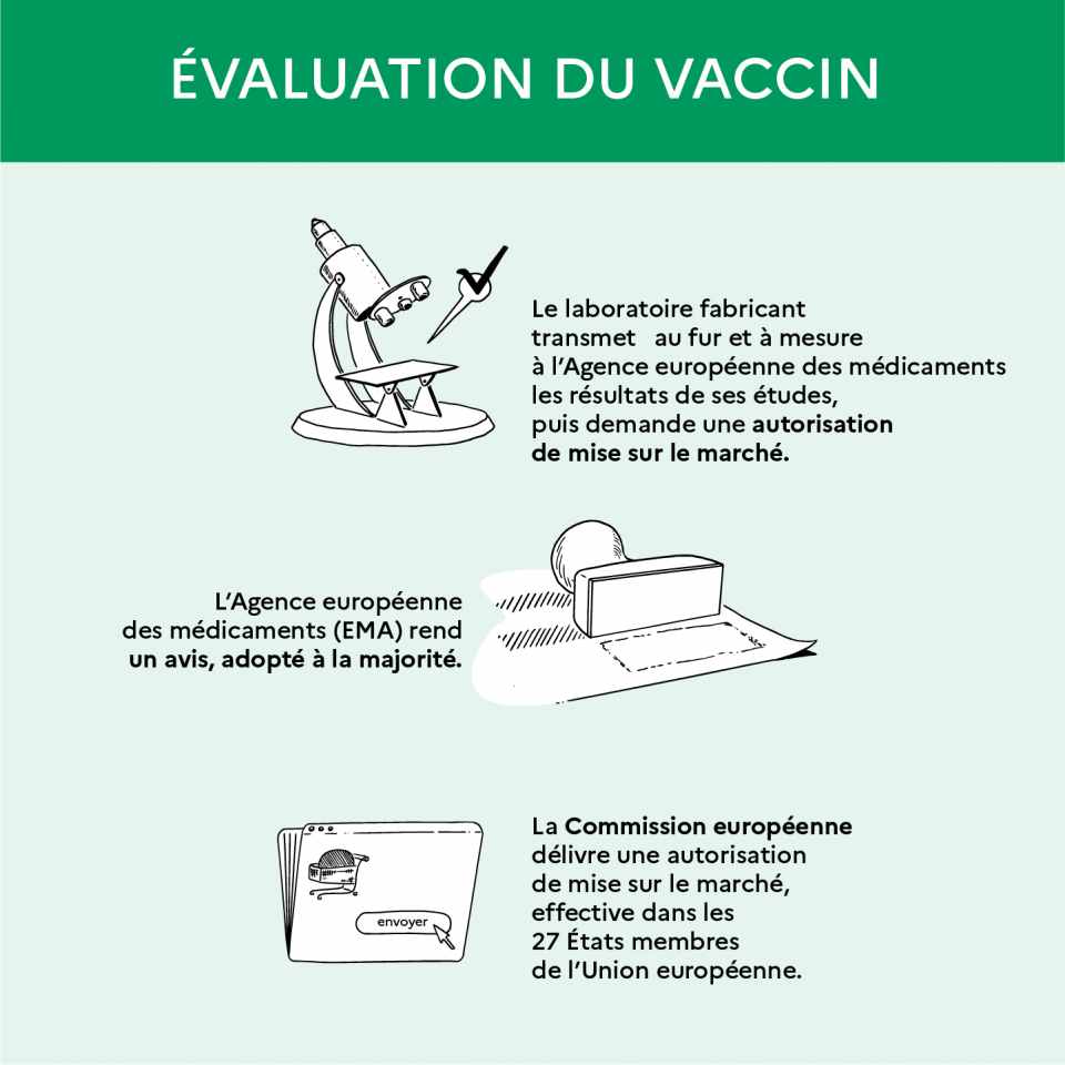 L'évaluation du vaccin