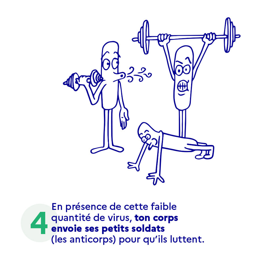 En présence de cette faible quantité de virus, ton corps envoie ses petits soldats (les anticorps) pour qu'ils luttent.