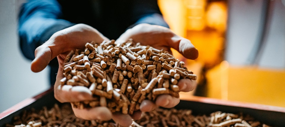 Des grains de biomasse