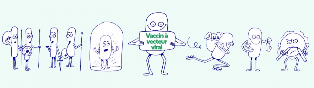 Visuel