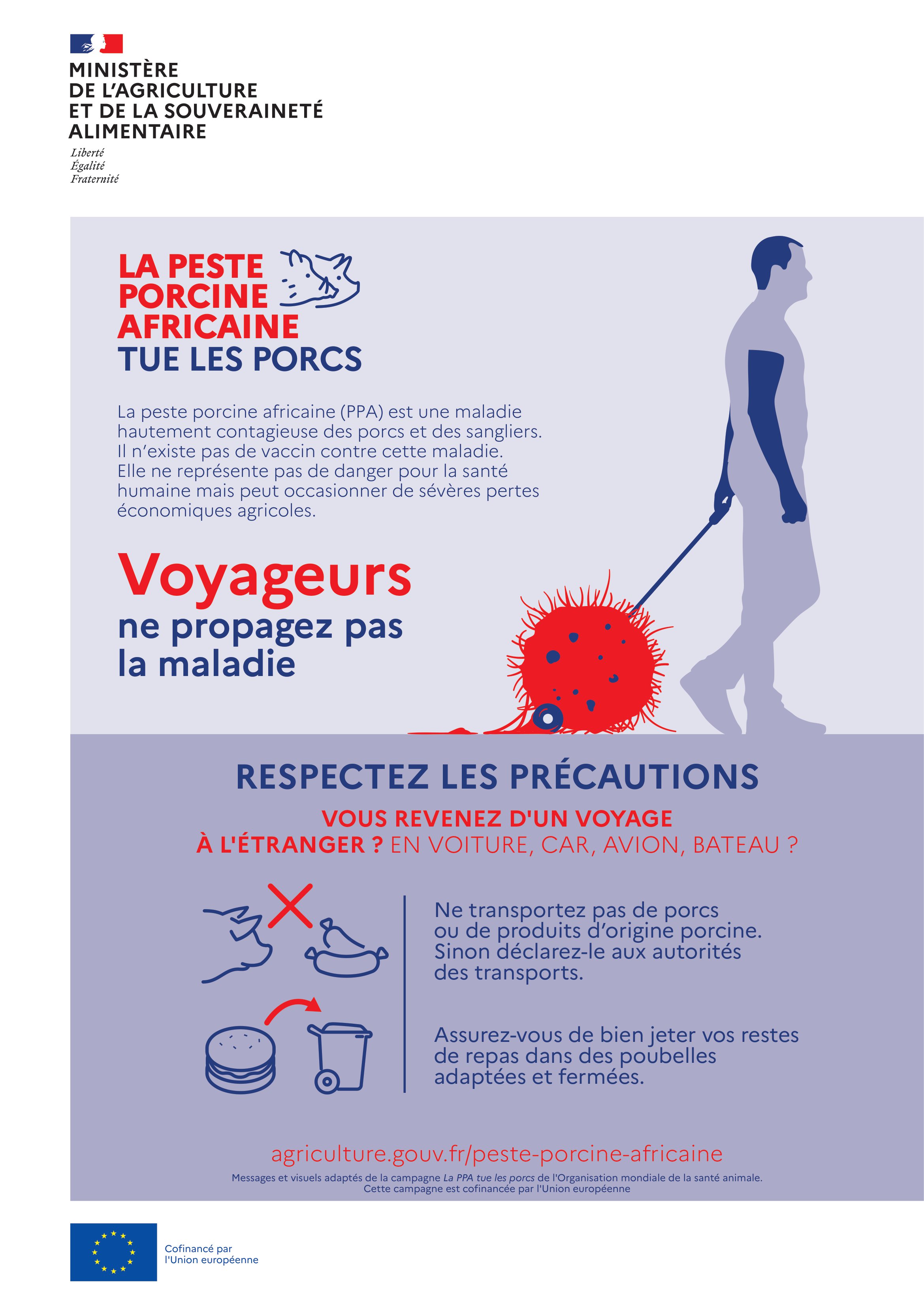 Infographie sur la peste porcine africaine à destination des voyageurs