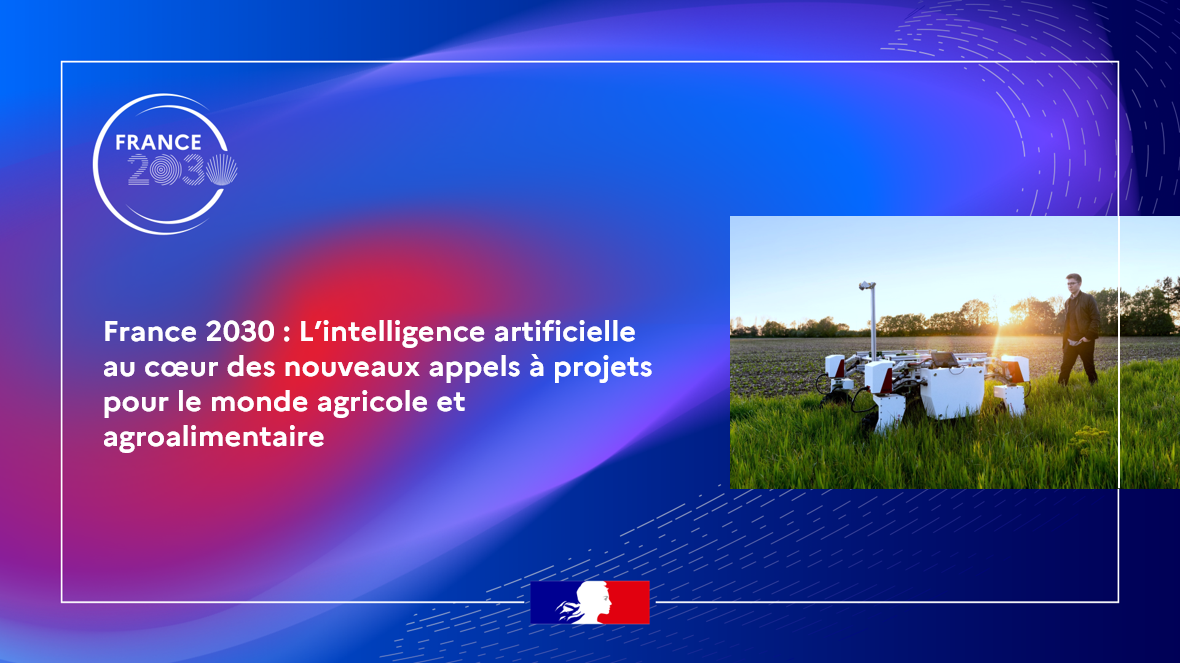 Visuel