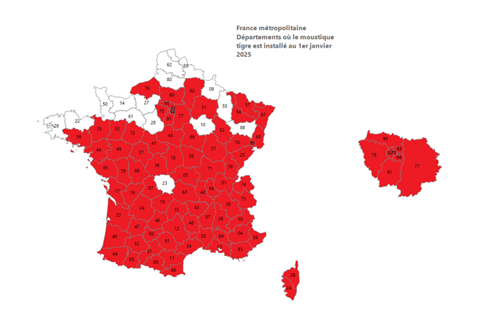 Carte de présence des moustiques tigres