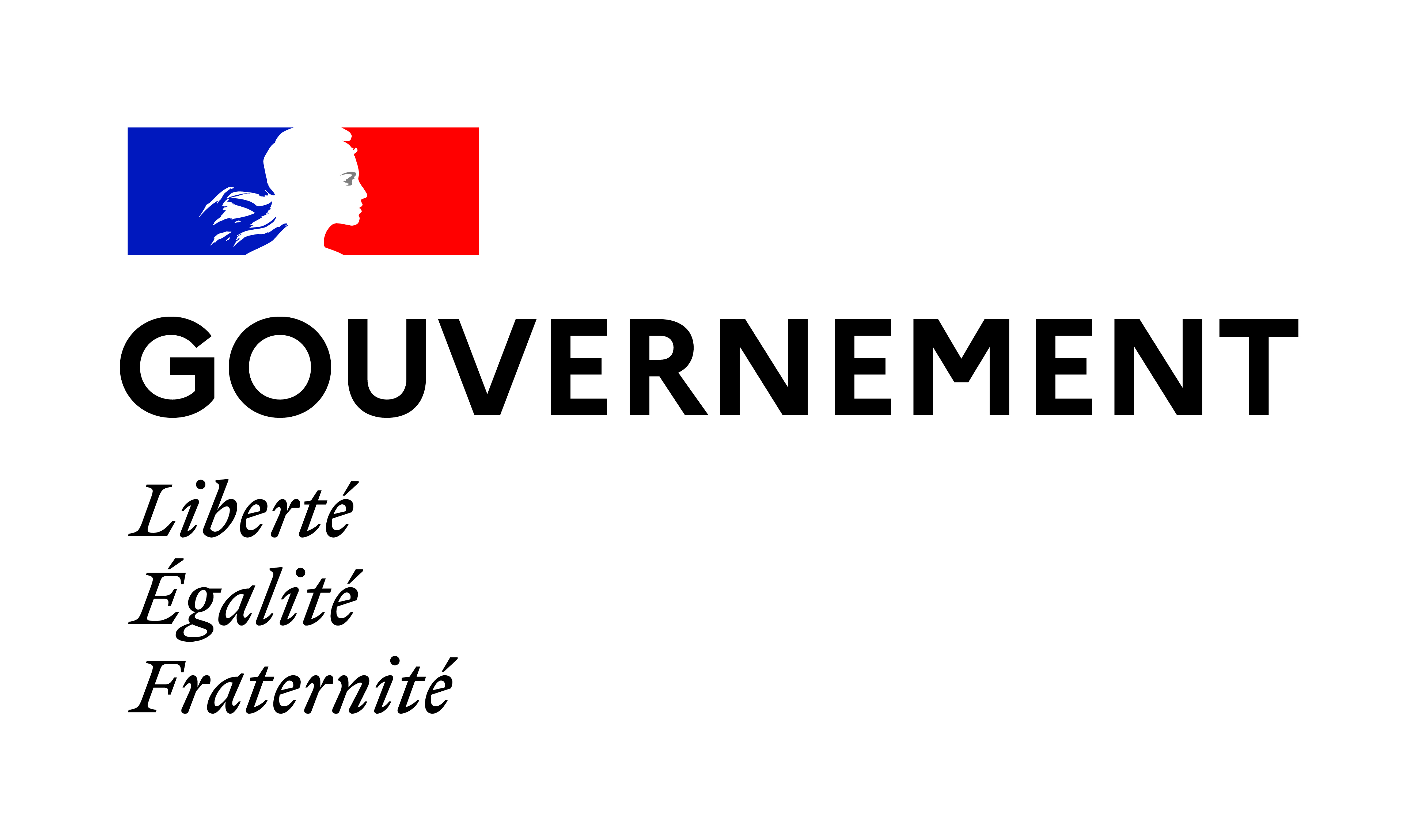 Bloc-marque du gouvernement français