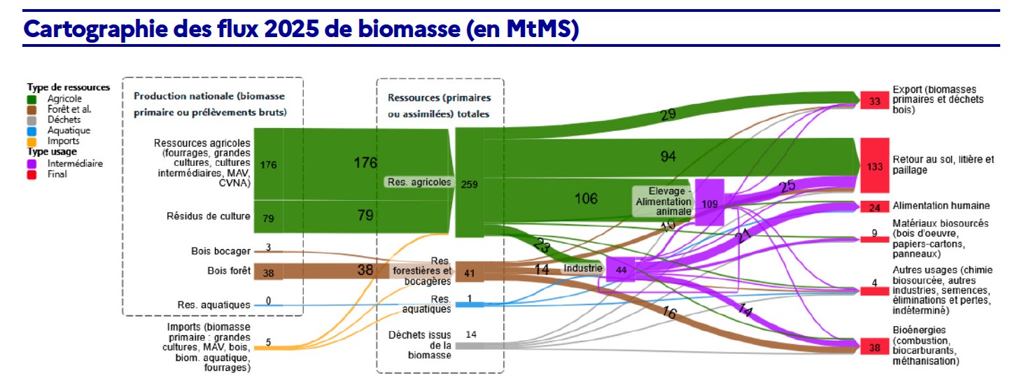 13
Protéger nos ressources essentielles
Cartographie des flux 2025 de biomasse (en MtMS)