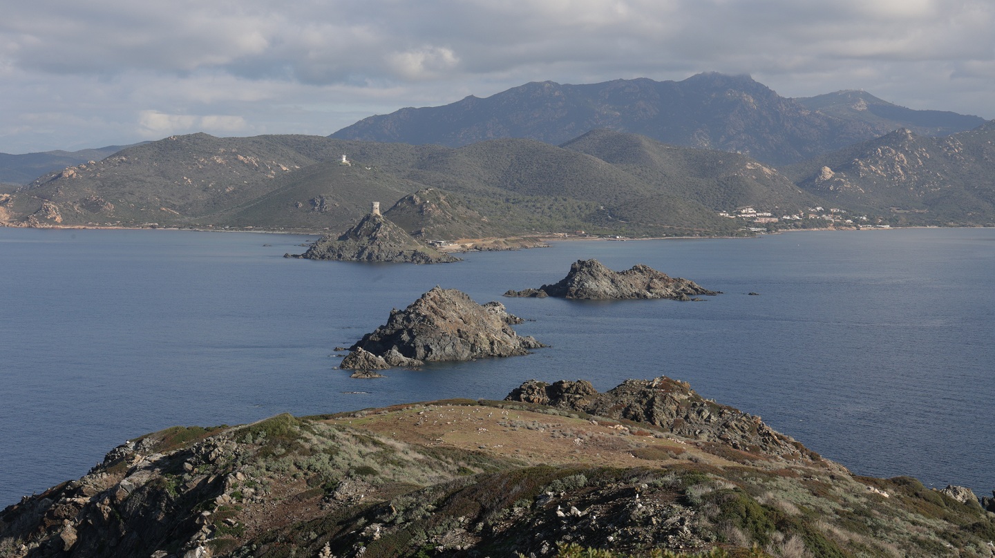 Corse