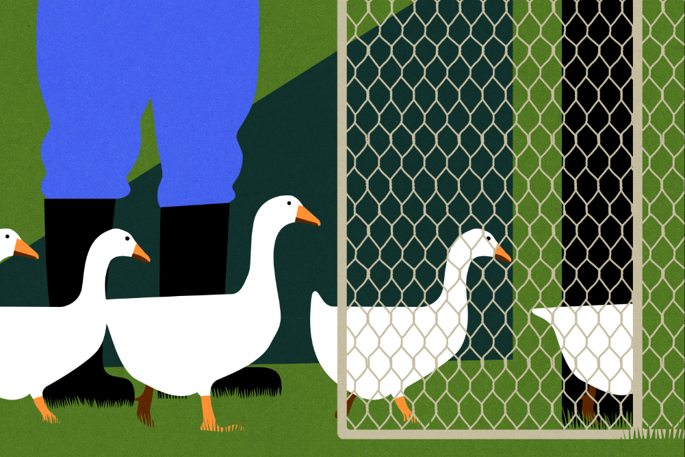 Illustration - Risques épizootie