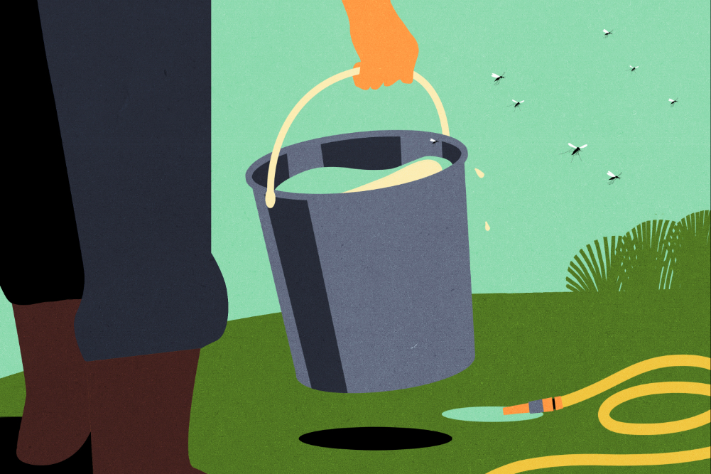 Illustration - Risques moustiques